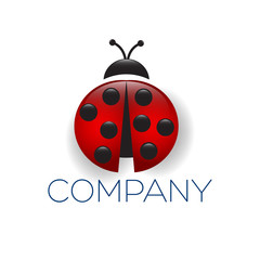 ladybug logotype