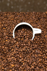 Kaffee für alle
