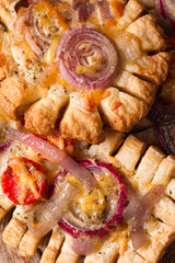tarts with red onions and tomatoes macro. vertical top view