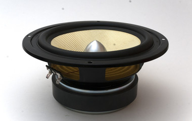 midbass speaker