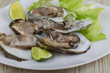 Fresh oyster
