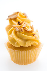 Cupcakes isolated on white