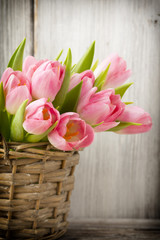 Tulip.