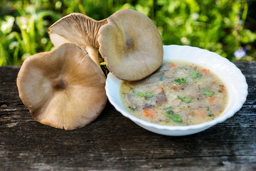 Mushroom Soup