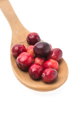 Cranberry