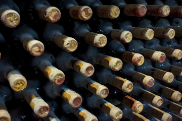vineyard cellar with old bottles.  Wine bottles from cellar