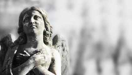 angel (Cemetary architectures - Europe)