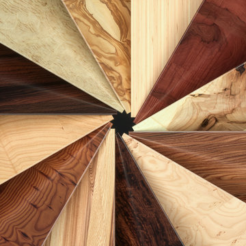 Different kinds of wood