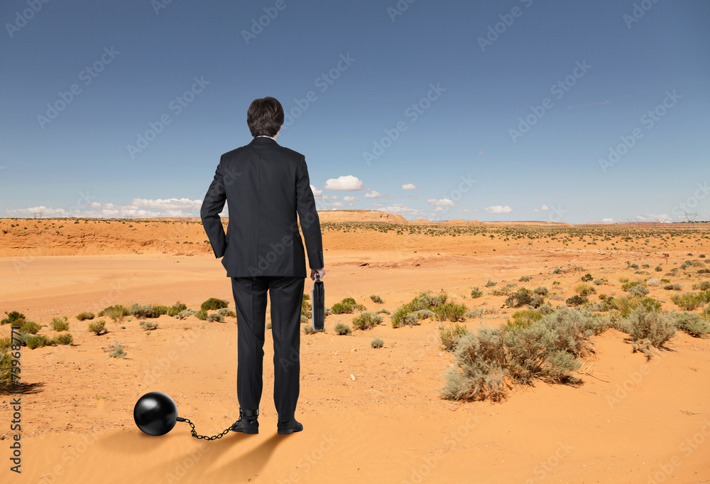 Canvas Prints businessman in desert