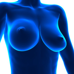 Uneven Breasts - different sizes