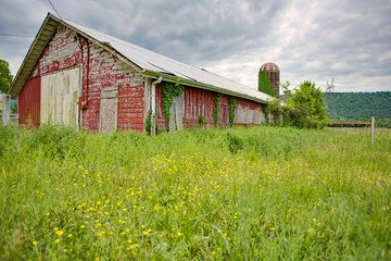 Abandoned Farm