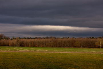 Obraz premium Licht am Horizont