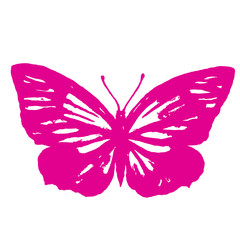 butterflies design