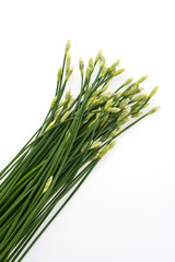 Garlic chives