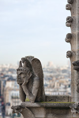 Fototapeta na wymiar Overlooking Paris