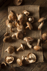 Raw Organic Shitaki Mushrooms