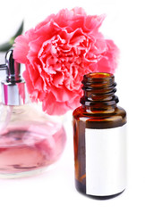 Bottle of perfume with clove on white background