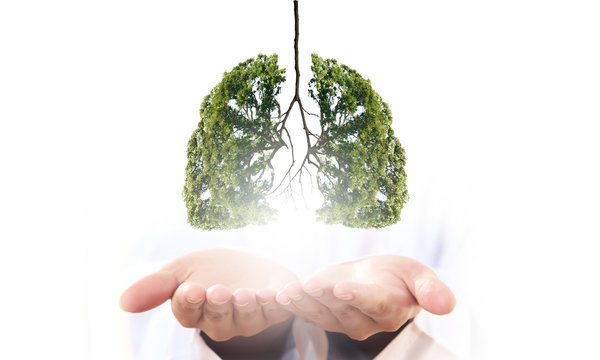 Air pollution