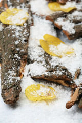 Pile of tree barks with autumn leaves in snow