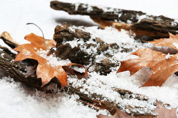 Pile of tree barks with autumn leaves in snow
