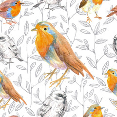 pencil sketch seamless pattern with bird robin and sparrow