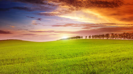 Beautiful sunset on spring field