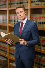 Handsome lawyer in the law library