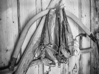 The old horse harness, close-up