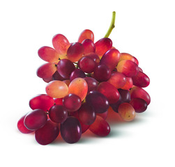 Red grapes bunch no leaf isolated on white background