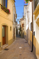 Alleyway.  Acerenza. Basilicata. Italy.
