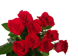 Red roses bouquet