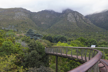 Kirstenbosch Gardens on a partly cloudy day with walkway
