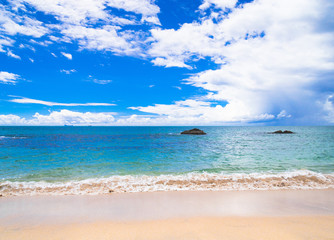 Shore Landscape Stormy Scene