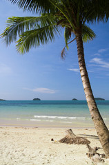 Coconut Coast Palm View