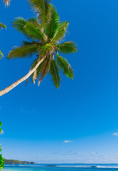 Fototapeta premium Bay Panorama Tranquility