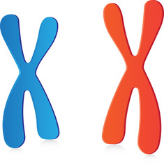 Chromosomes