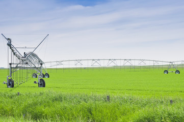 Fototapeta na wymiar Irrigation sprinklers in a farm field (Canada)