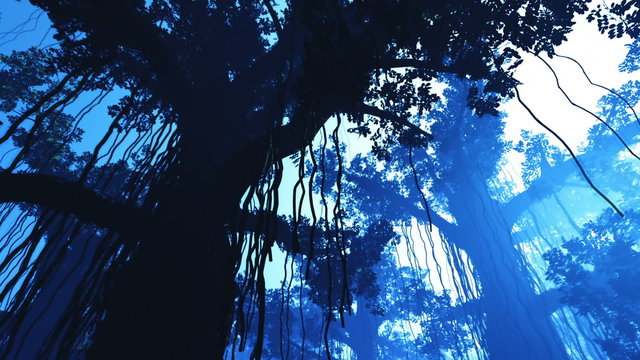 Mysterious Fairy Tale Fantasy Deep Jungle in Water at Night 3D