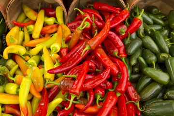 Organic Peppers