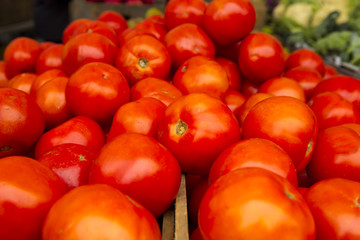 Organic Tomatoes