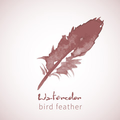 Watercolor design element feather 