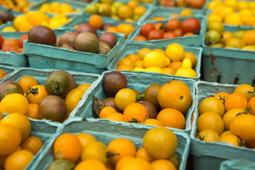 Organic Tomatoes