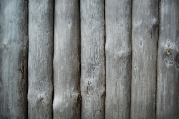 Wall of logs. Wooden background