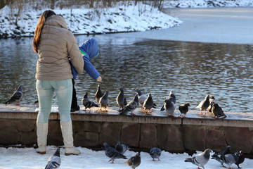 Obraz premium Winter