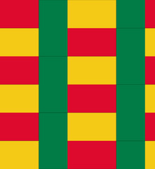 Benin flag texture vector