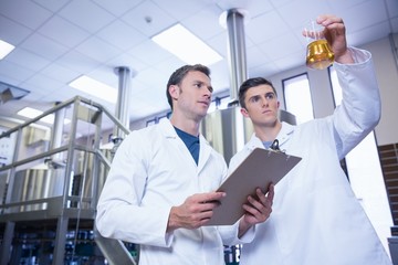 Naklejka na ściany i meble Two men in lab coat looking at the beaker with beer