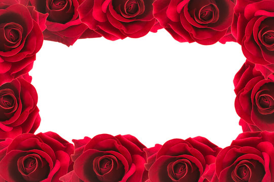 red roses frame background