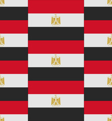 Egypt flag texture vector