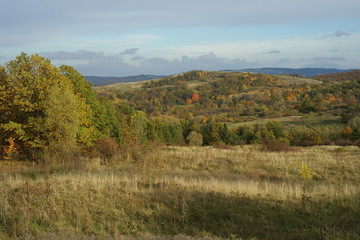 Autumn landscape