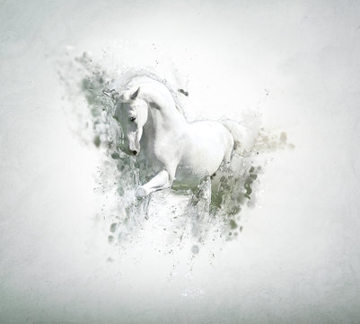 Graceful white horse, abstract animal concept